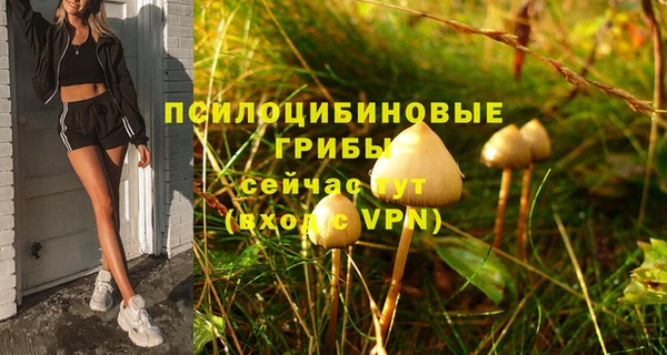 марки nbome Горняк