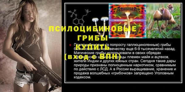 МДПВ Горно-Алтайск