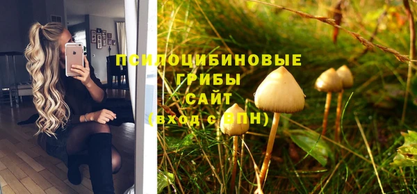 марки nbome Горняк
