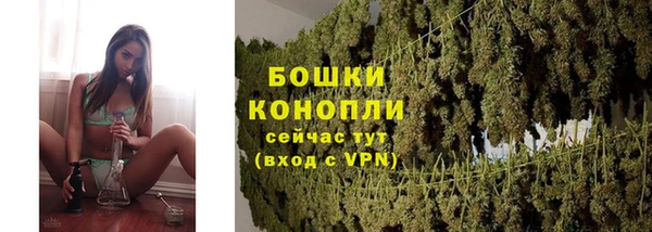 МДПВ Горно-Алтайск
