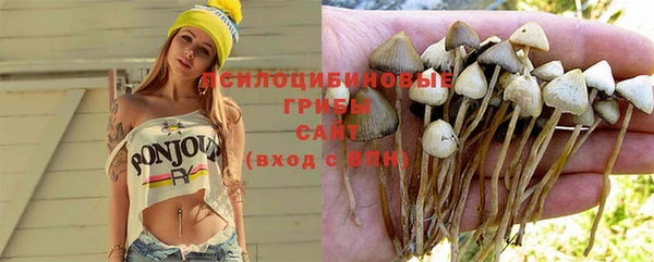 марки nbome Горняк