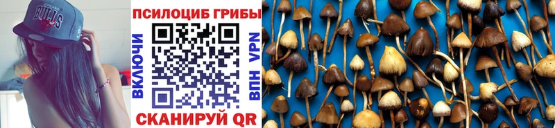 Купить где  Кириши  Псилоцибиновые грибы мицелий 